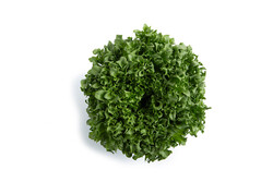 CRYSTIQUE (44-CL1573) Knox™ Produktbild