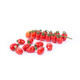 РЕДЕТТО F1 product photo view-2 S