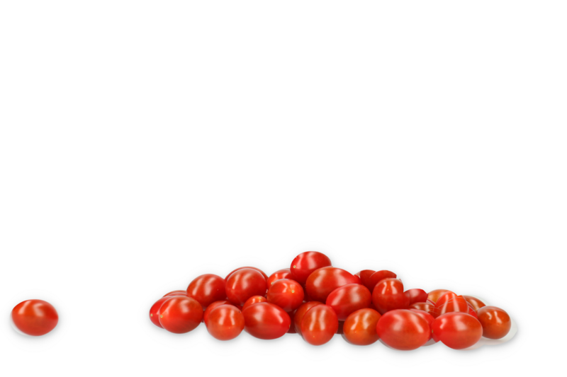 BELLAMARIA F1 (72-MP0029) product photo view-2 L