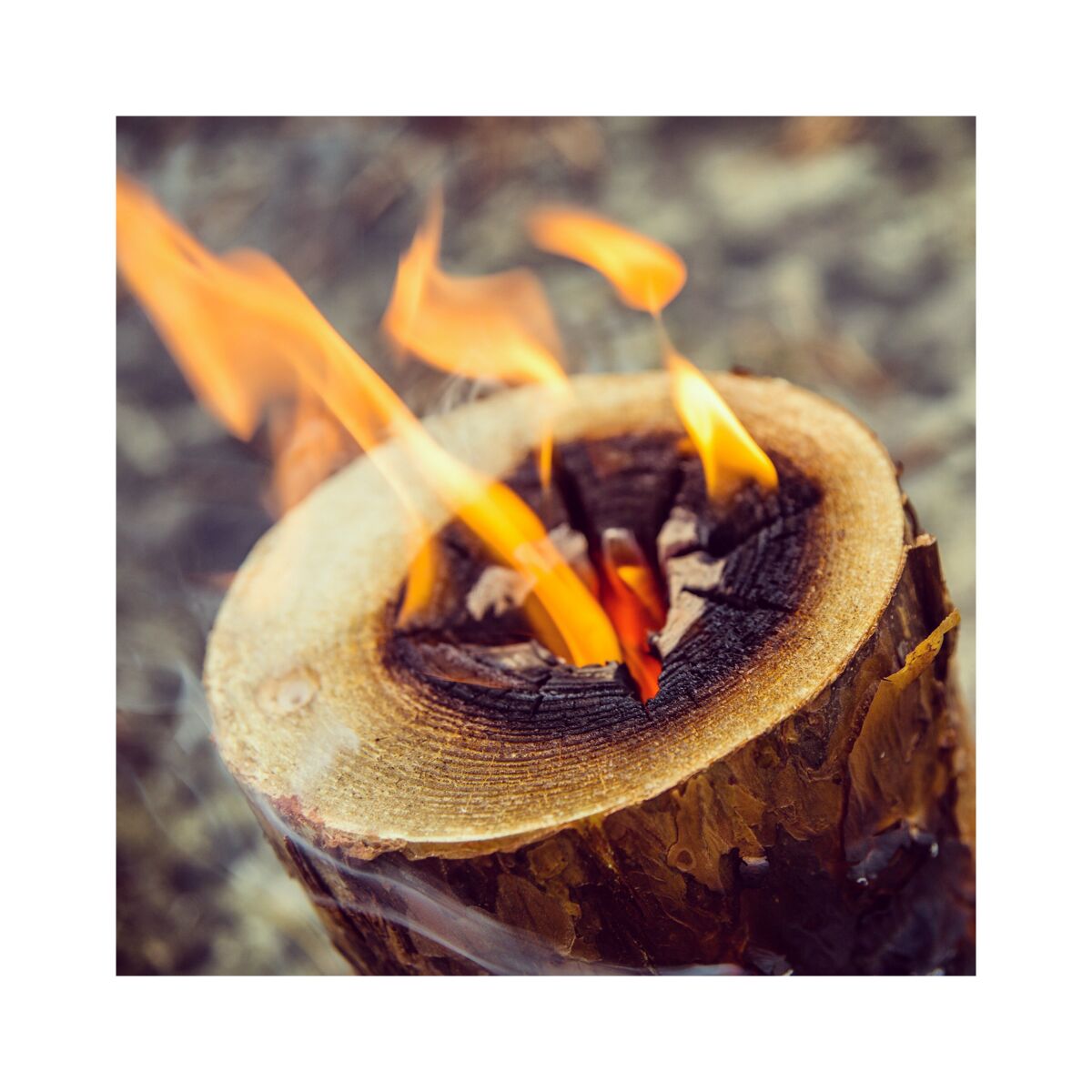 KISTENMACHER Patio Essentials Citronella Camping Fire Log Candle Brown |  KISTENMACHER | All Brands | SACO Store