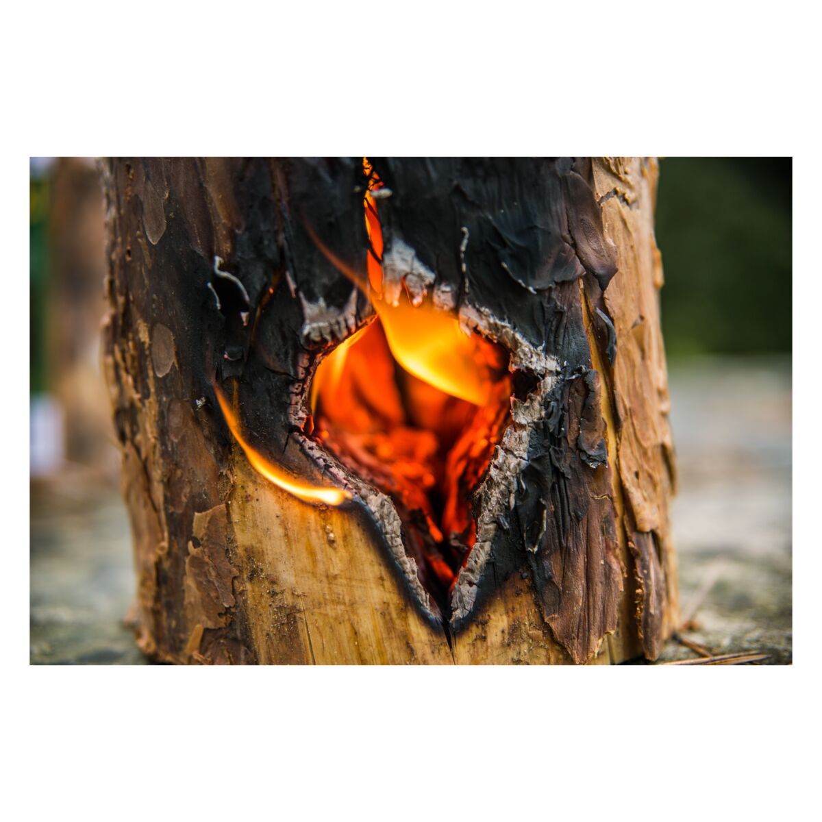 KISTENMACHER Patio Essentials Citronella Camping Fire Log Candle Brown |  KISTENMACHER | All Brands | SACO Store