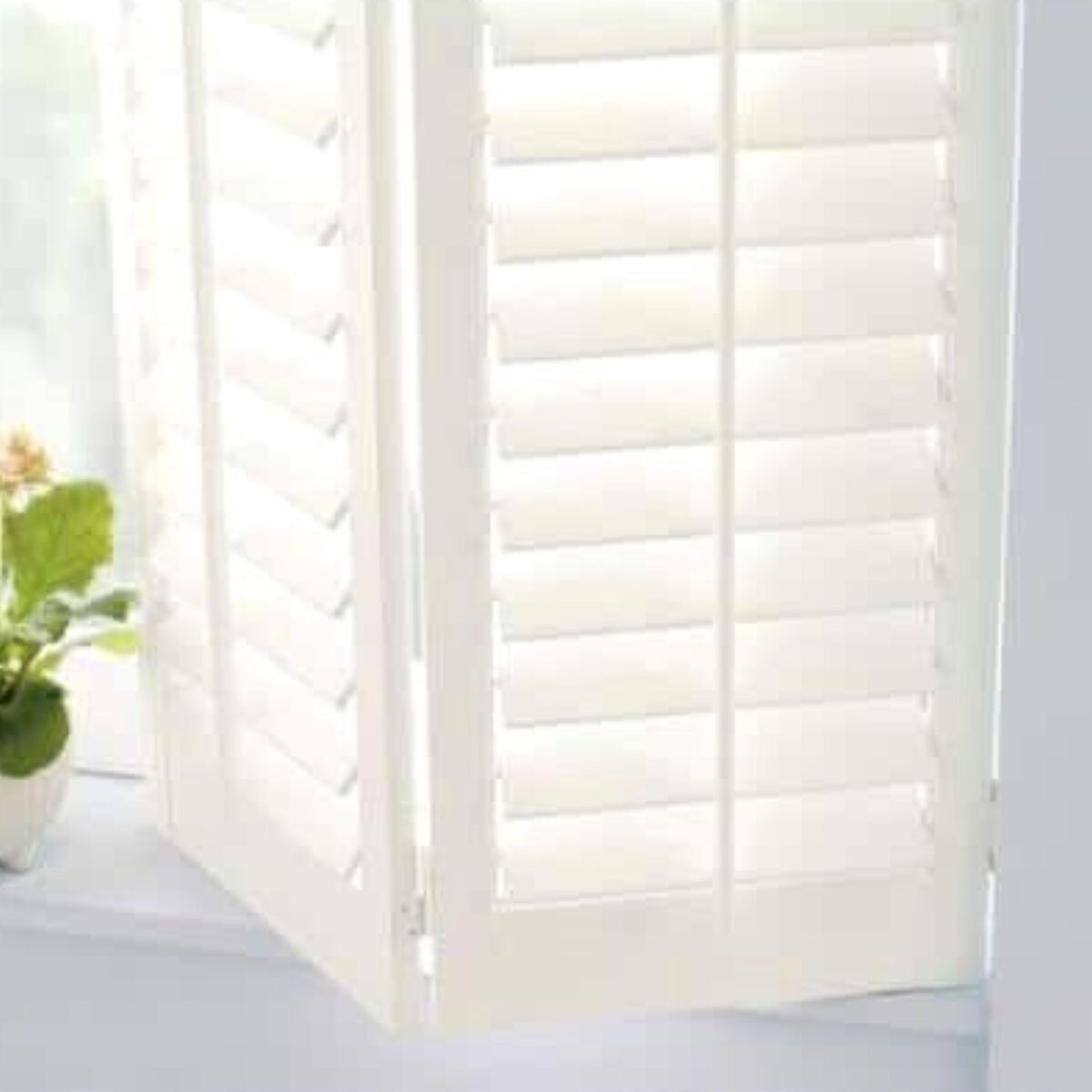 ultra cover premium latex paint