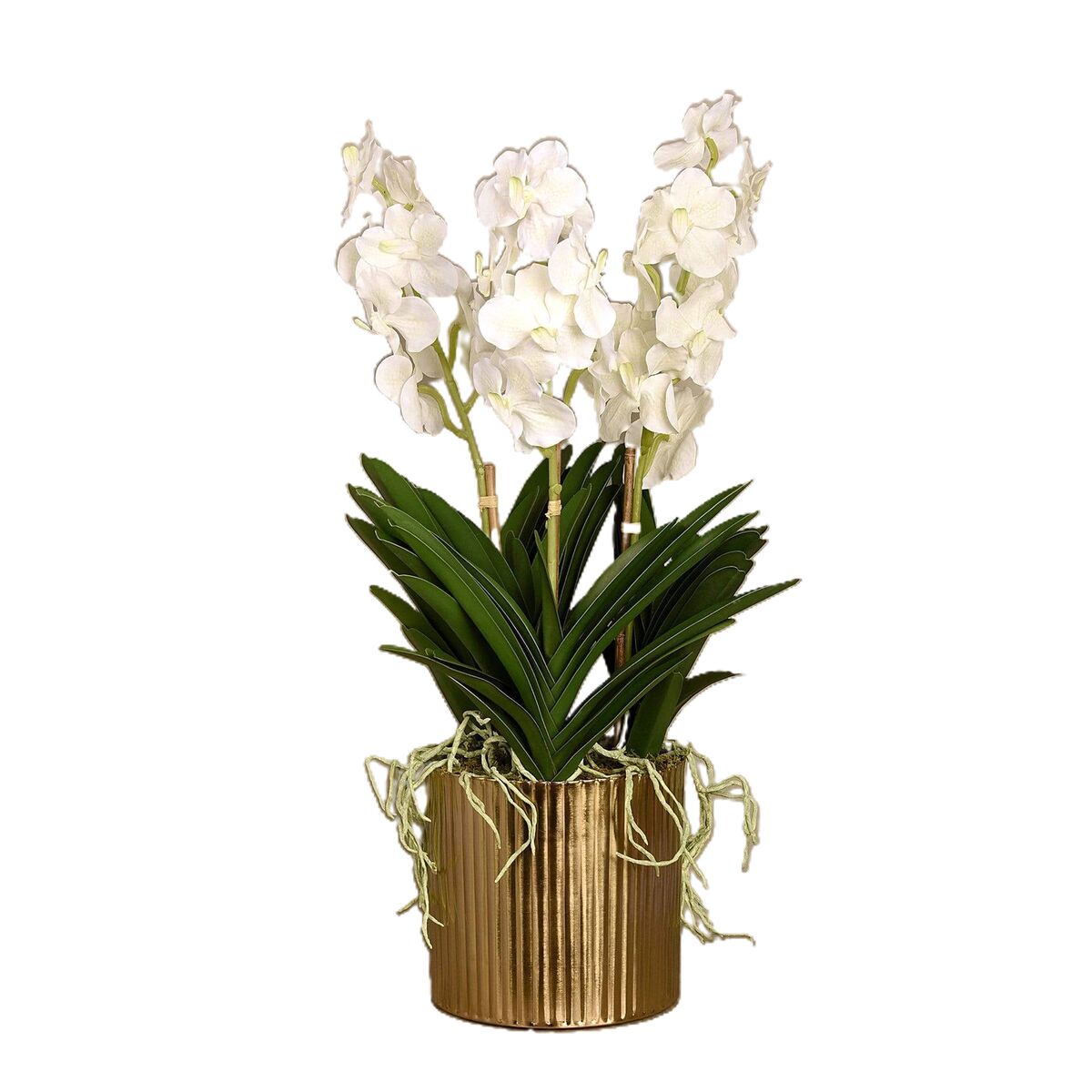 Bloomr Artificial Vanda Floral Arrangement with Stand White Medium ...