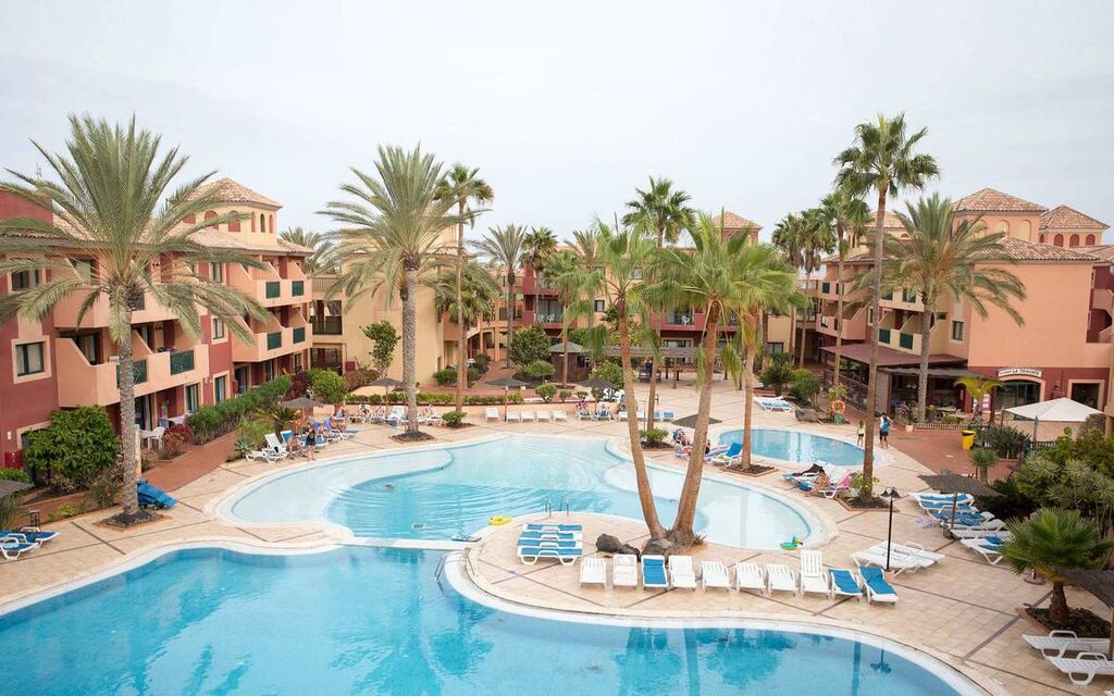 Image of O7 Aloe Corralejo