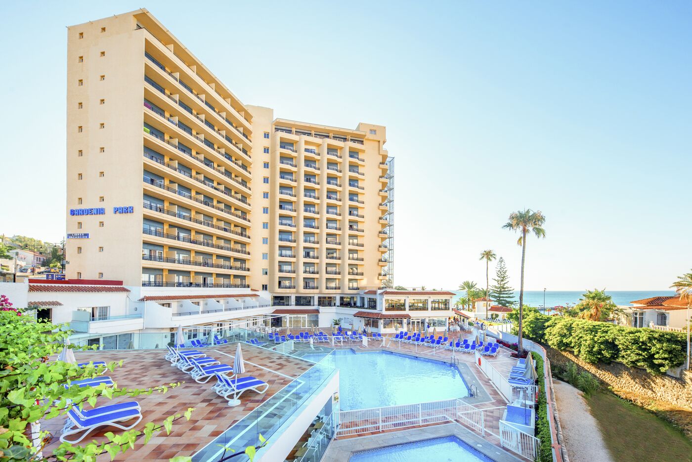 Image of Globales Gardenia