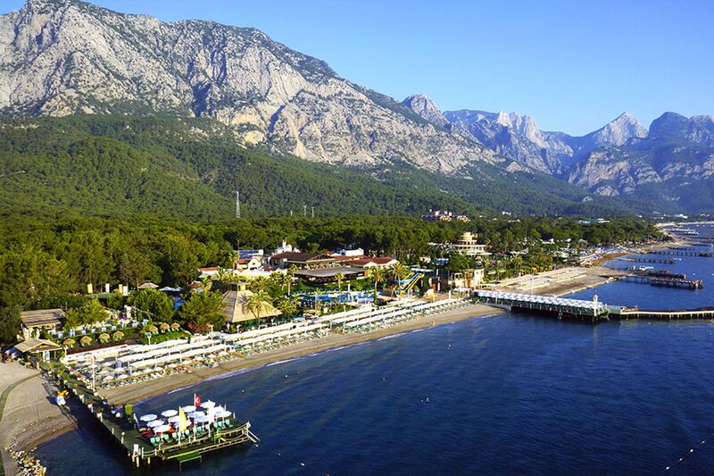 Image of Gypsophila Club Marine