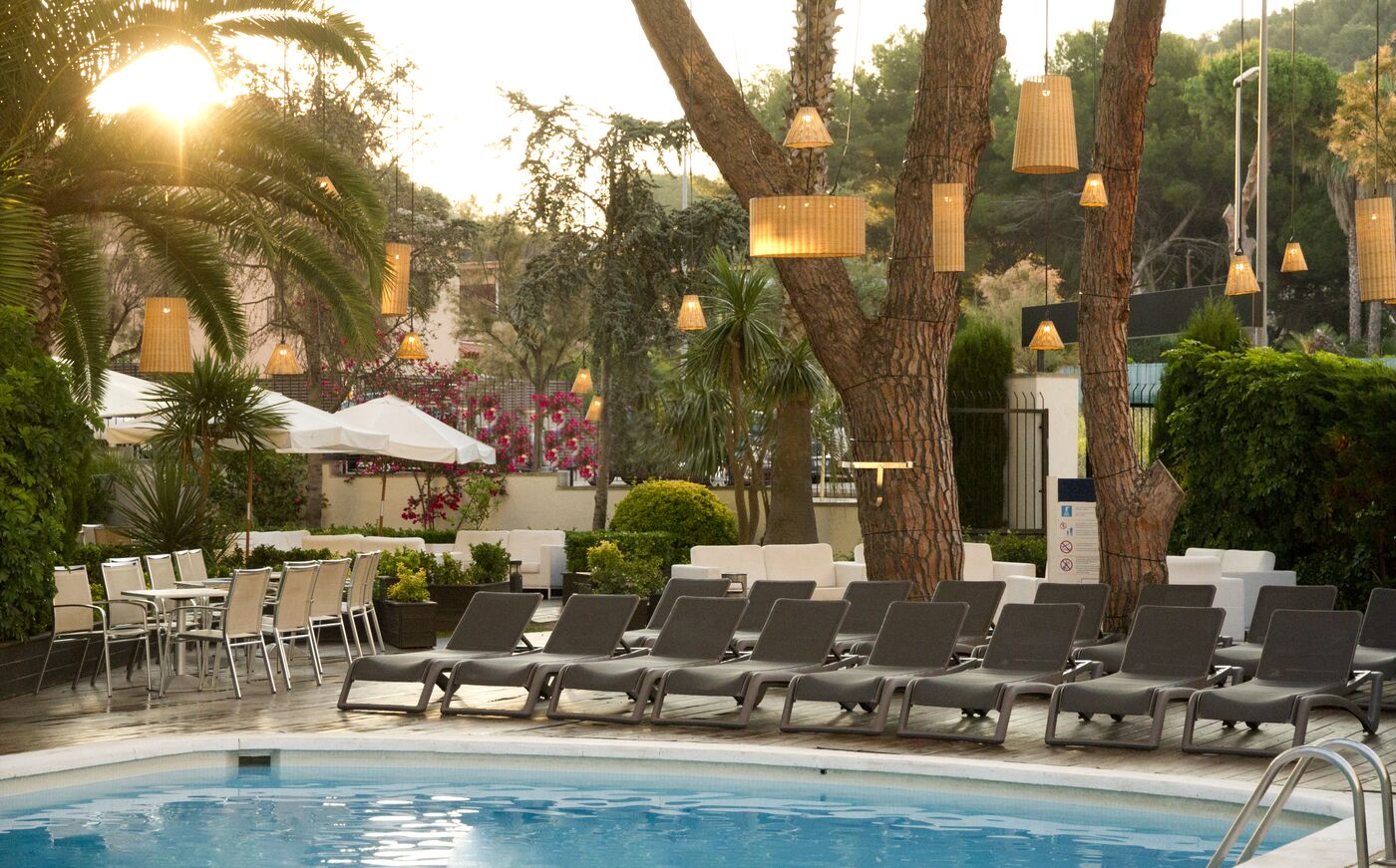 Image of Alegria Fenals