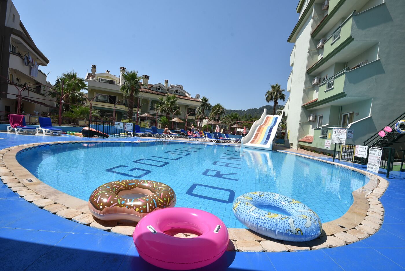 Image of Golden Orange