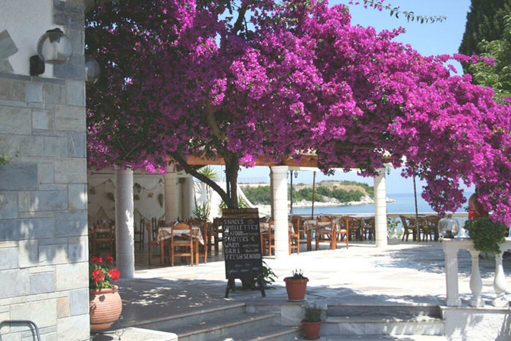 Image of Imerolia Studios