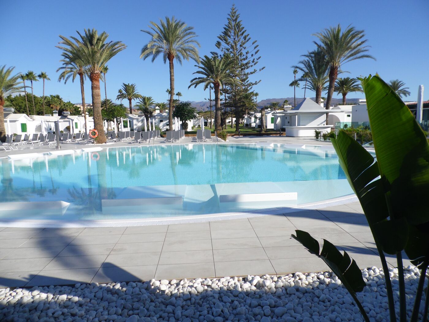 Image of Canary Garden Club