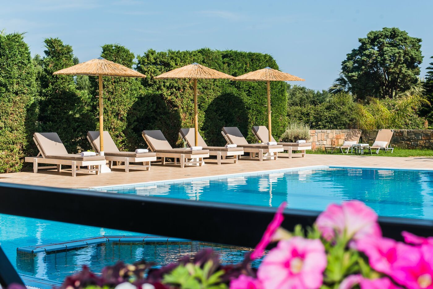 Image of Mirage Studios - Adults Only