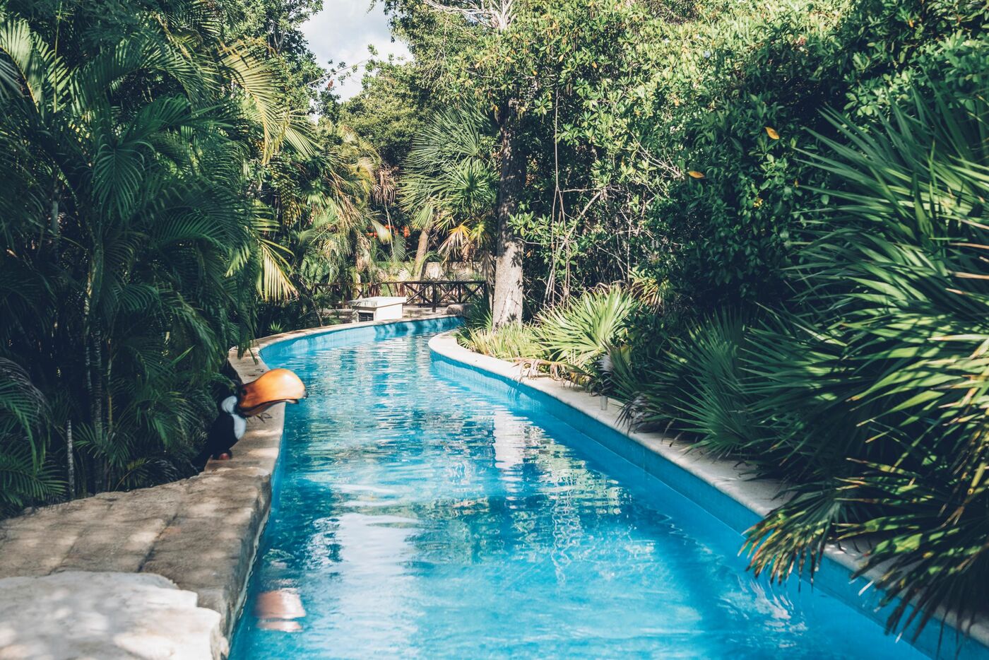 Image of Iberostar Selection Paraiso Lindo