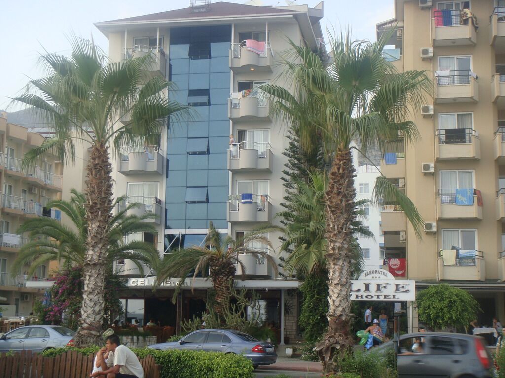 Image of Kleopatra Celine