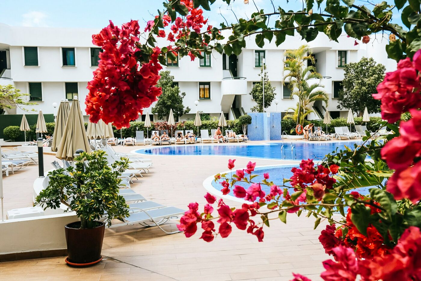 Image of Coral Suites and Spa - Adults Only