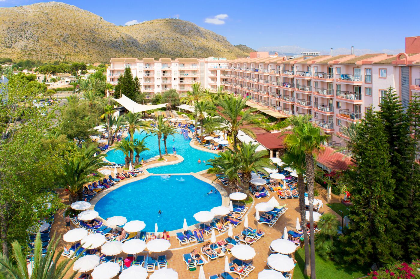 Image of Viva Sunrise