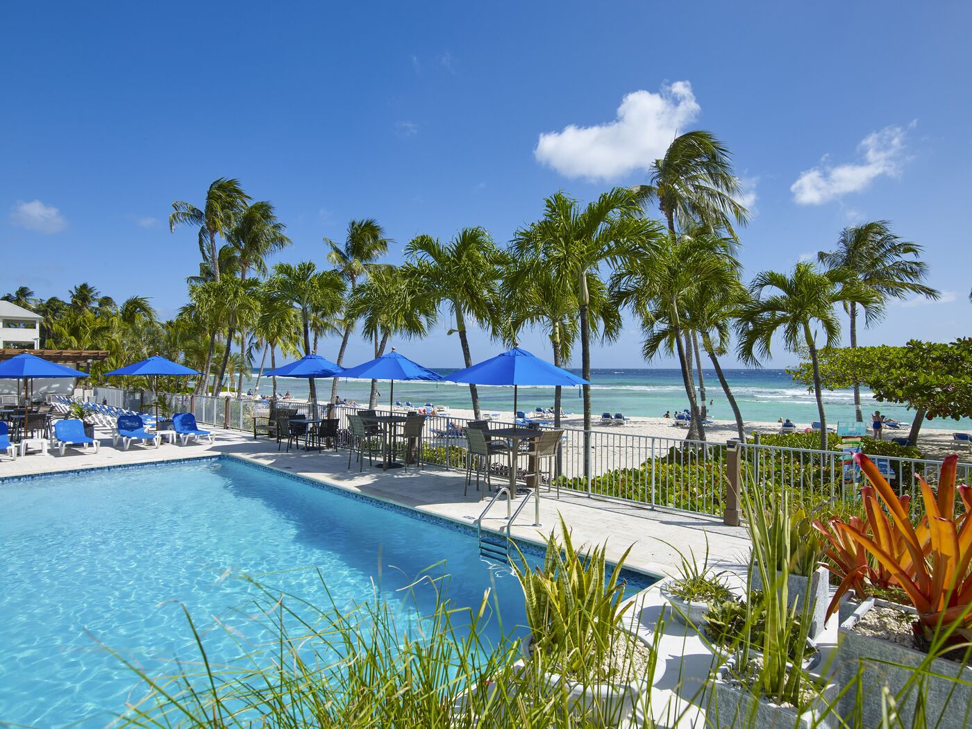 Image of Coconut Court Beach