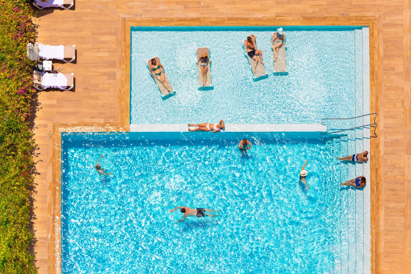 Image of Don Pancho - Adults Recommended (14+)