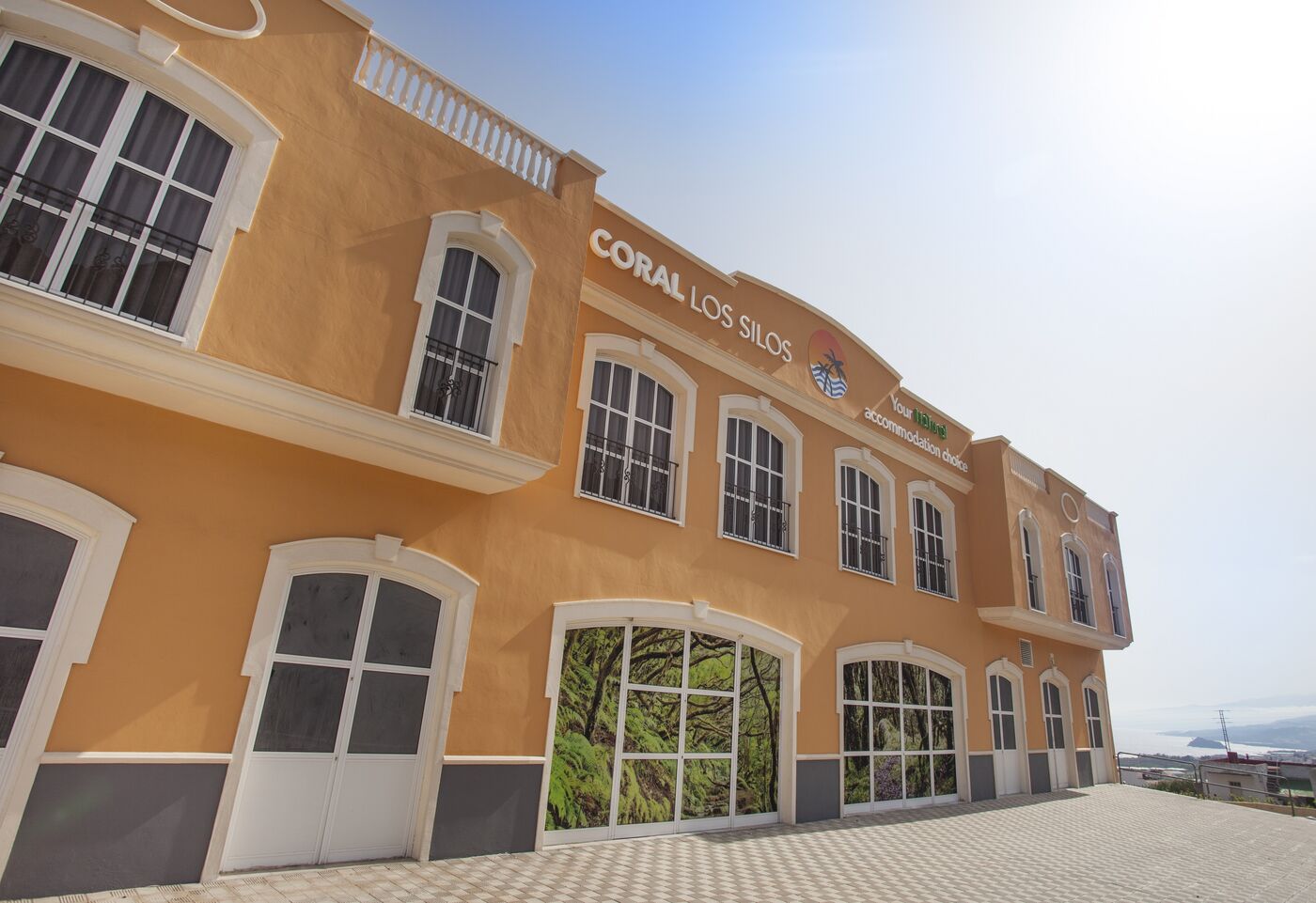Image of Coral Los Silos