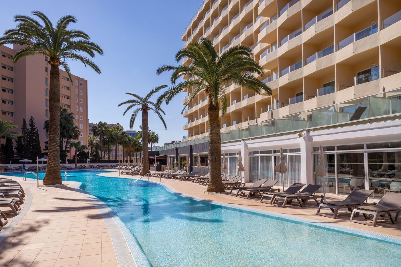 Image of Sol Palmanova