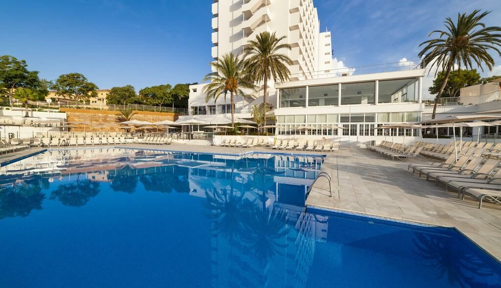 Image of Globales Mimosa