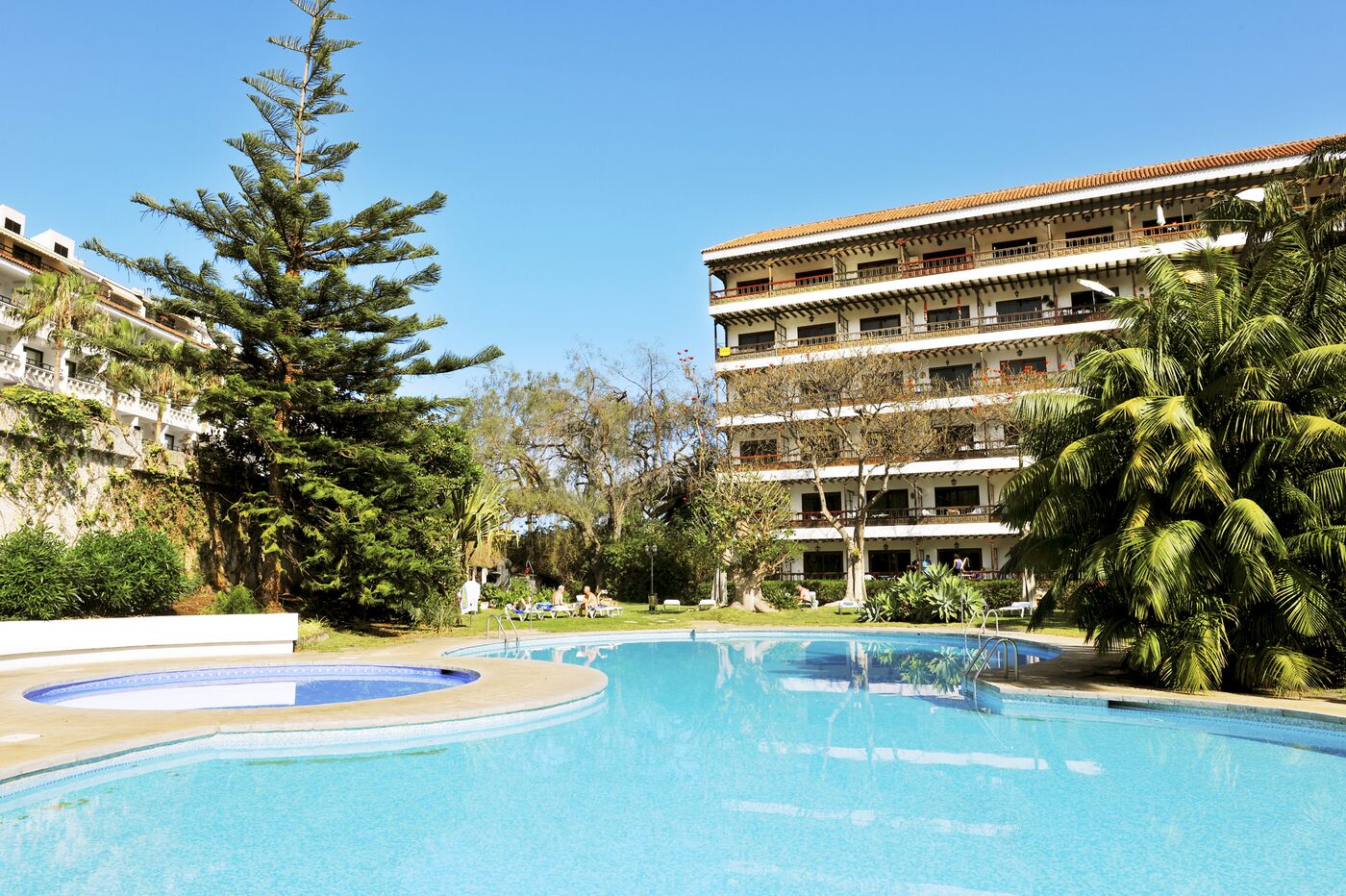 Image of Coral Teide Mar