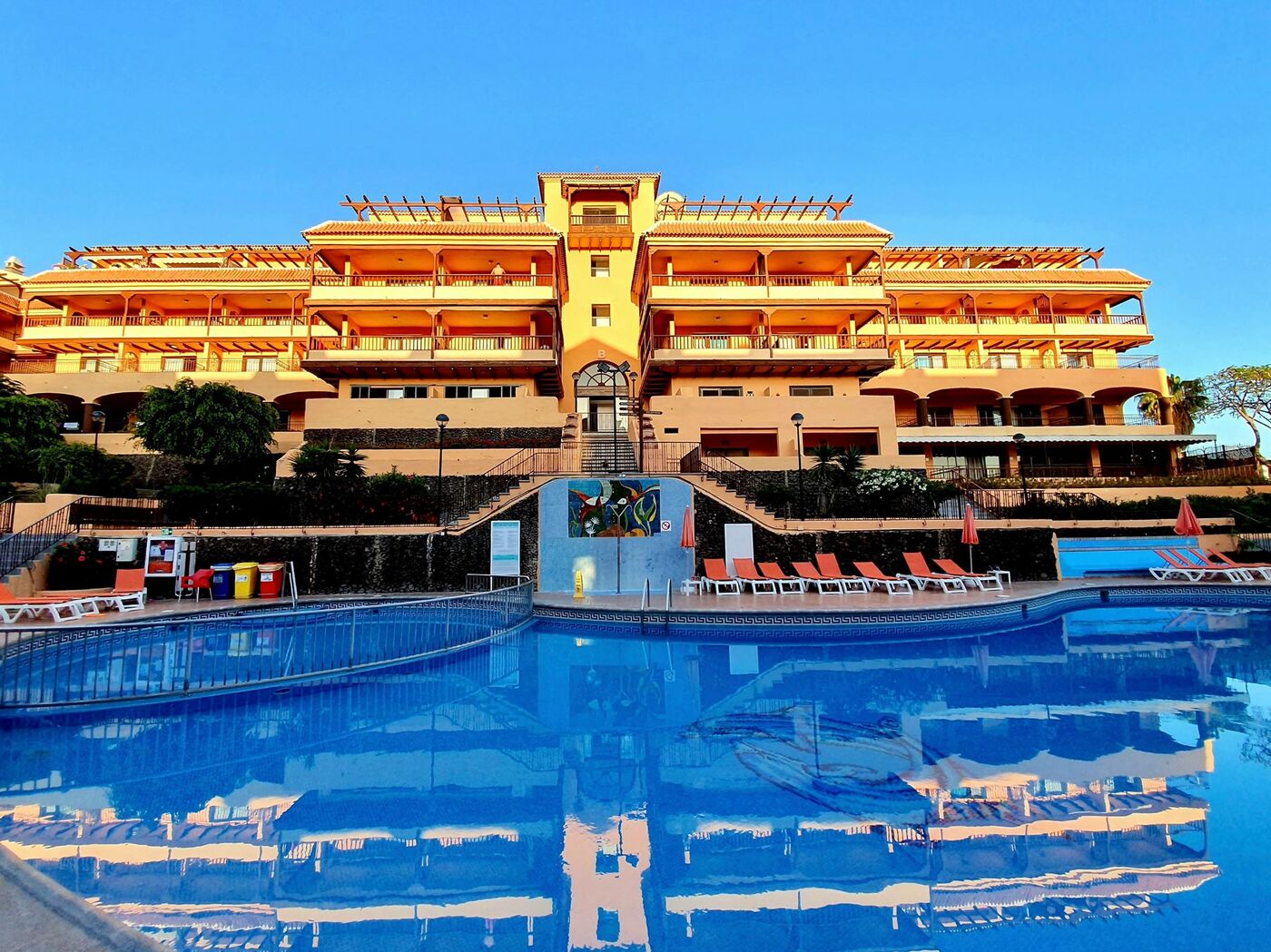 Image of Coral Los Alisios