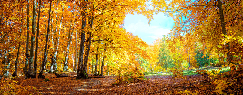 B5_Toussaint_1280x500