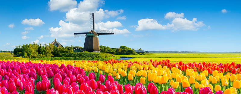 week_end-1280x500.jpg