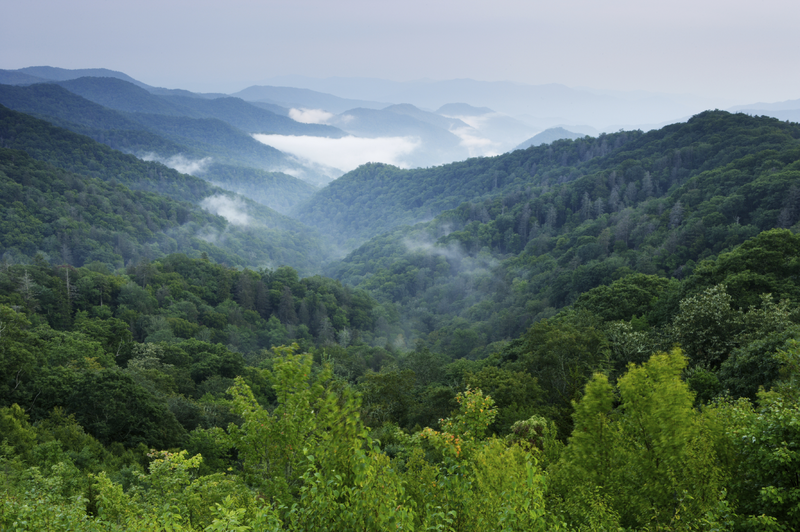 Land Management Sustainability – Healthy Planet – Land Management – Deforestation