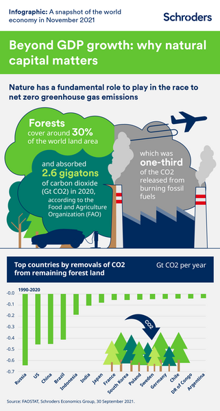 Infographic: A snapshot of the global economy in November 2021