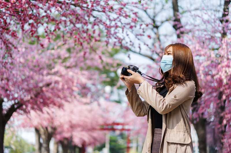 covid-japan-blossom