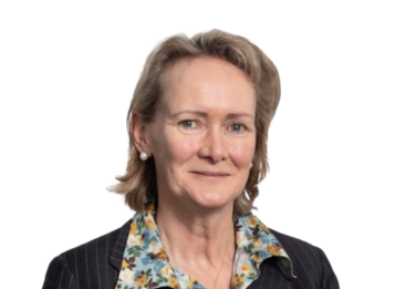 Headshots of Trust Board Members