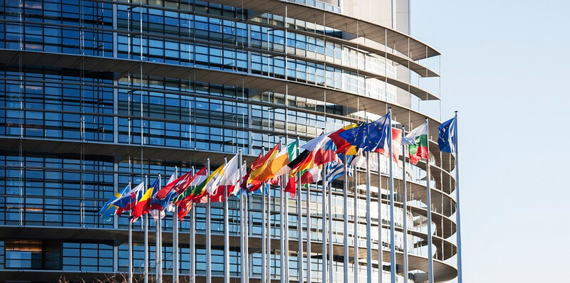 eu-ref-European-flags-parliament