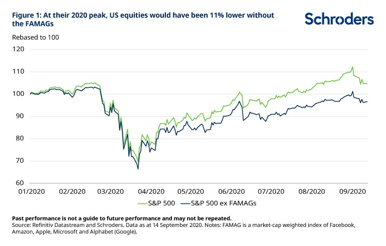 1-US-equities-without-FAMAGs