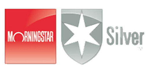 morningstar silver logo