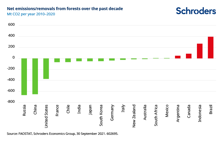 Net-emissions-from-forests-over-past-decade