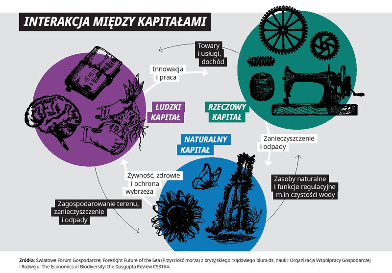 PLPL_02_CS3164_SC_Natural