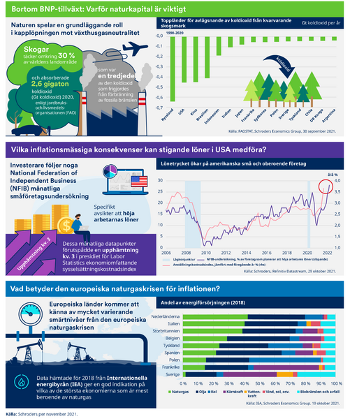 SV_Infographic_NOV_21