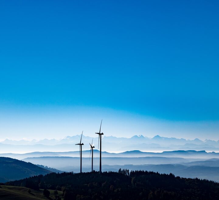 Online Information Meeting - Executive Master of Management in Energy