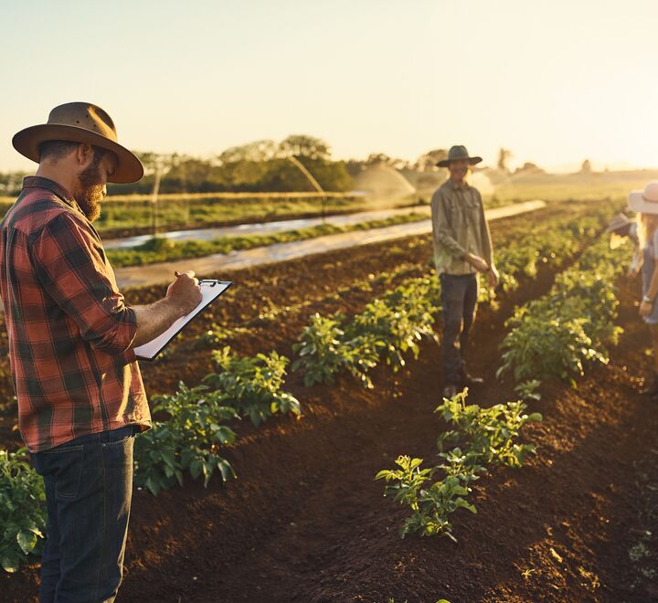 Picture of farmers on a field