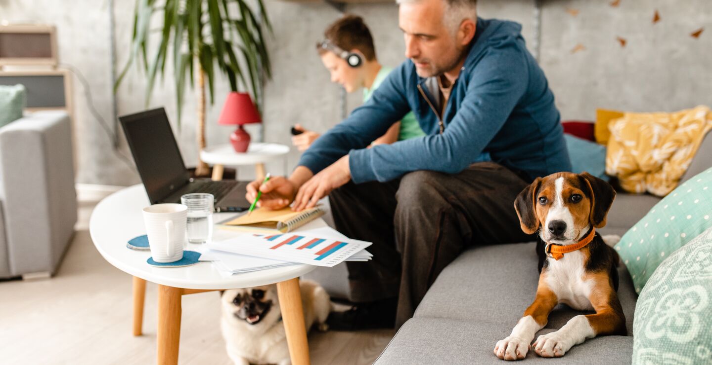 Hund p&aring; hjemmekontor