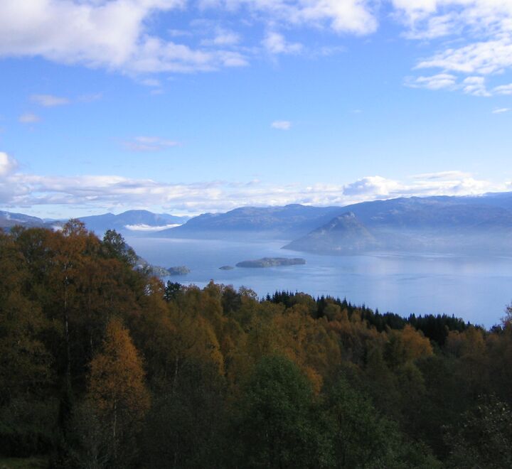 Hardangerfjorden