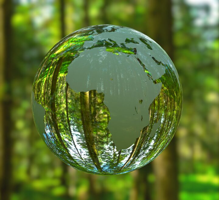 Water drop in front of trees