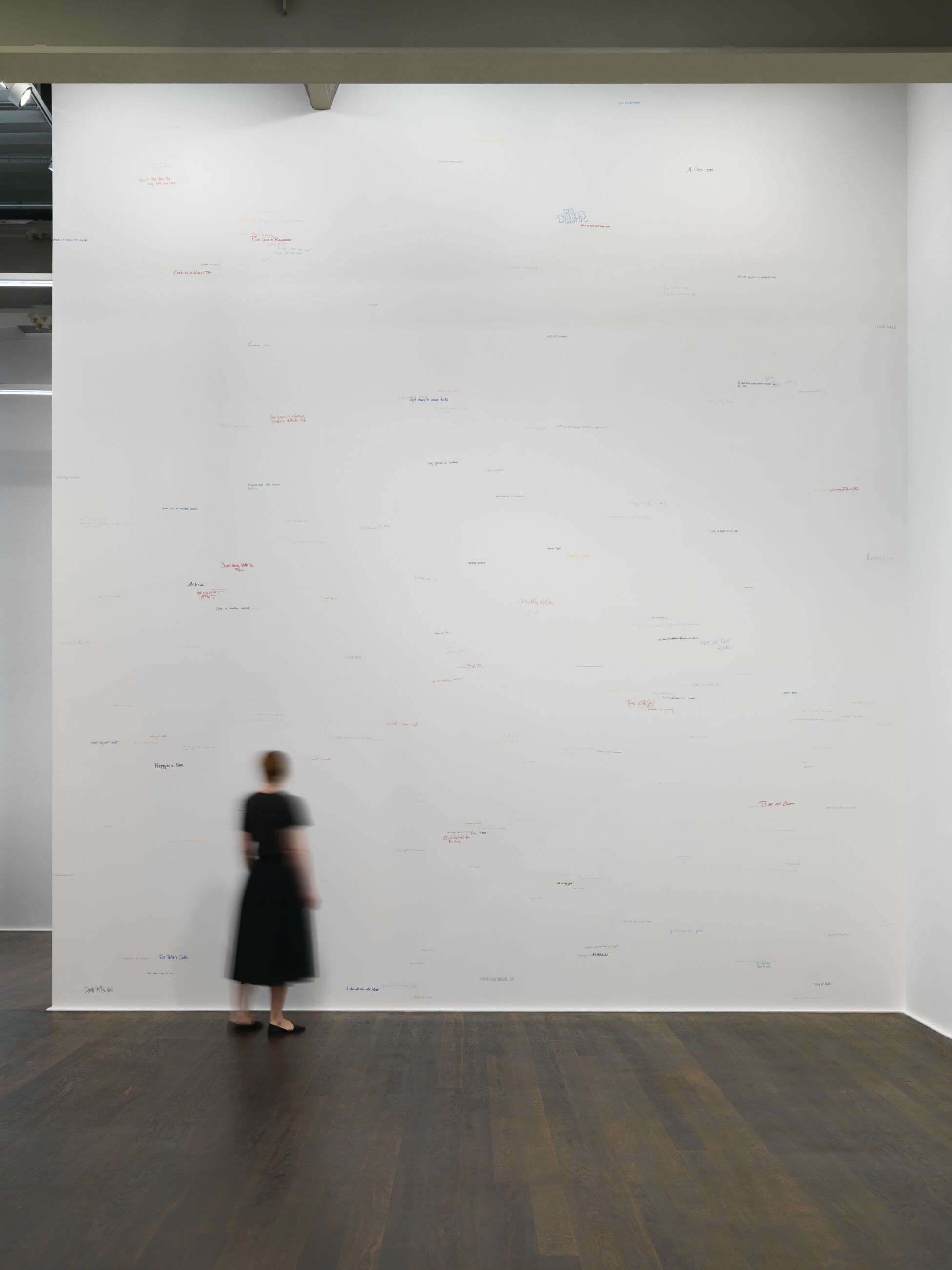 Roni Horn - Wits