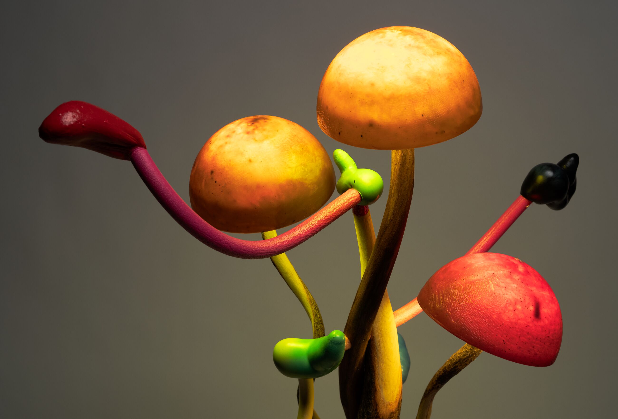 Mika Rottenberg - Hauser & Wirth