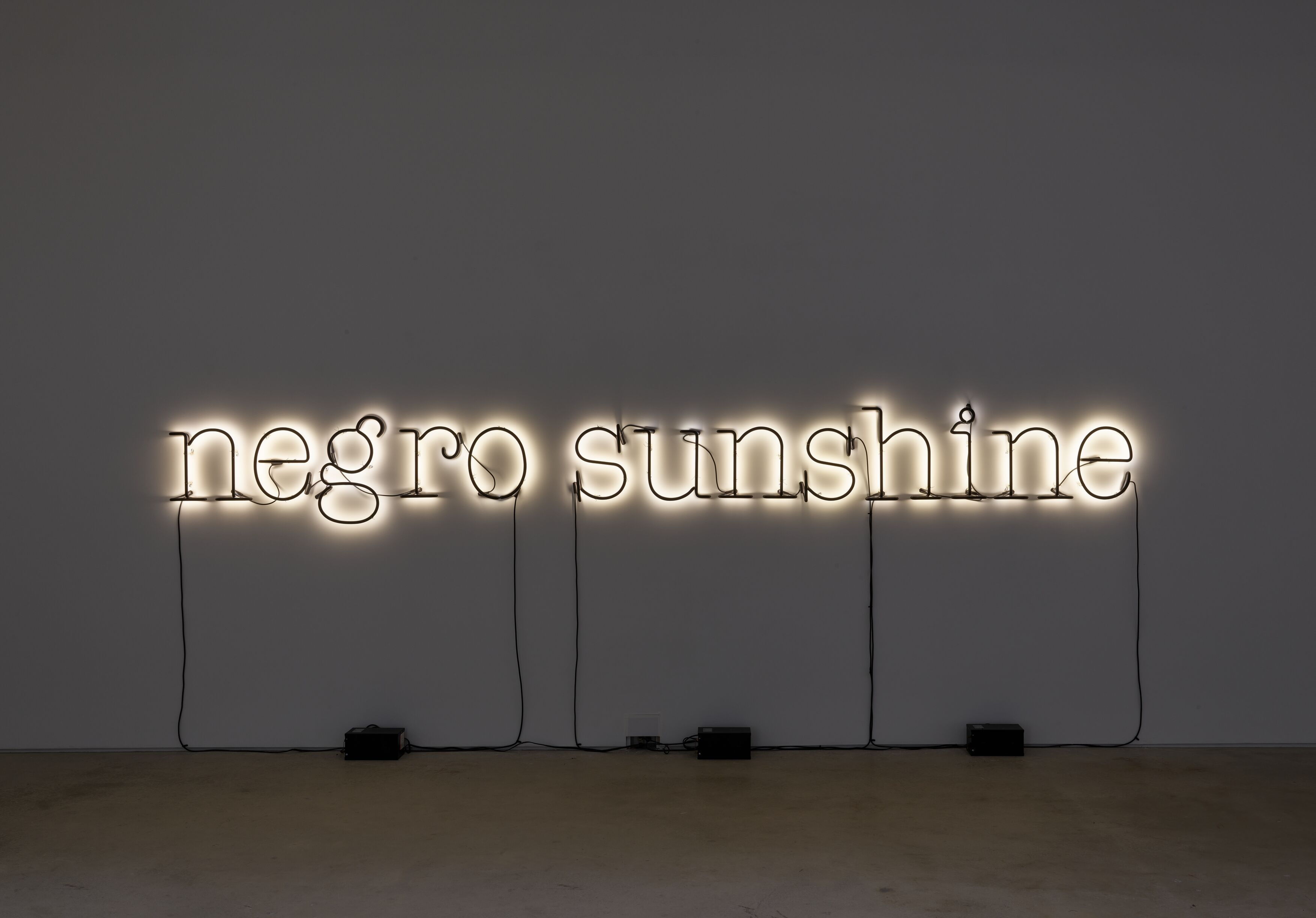 Glenn Ligon - Hauser & Wirth
