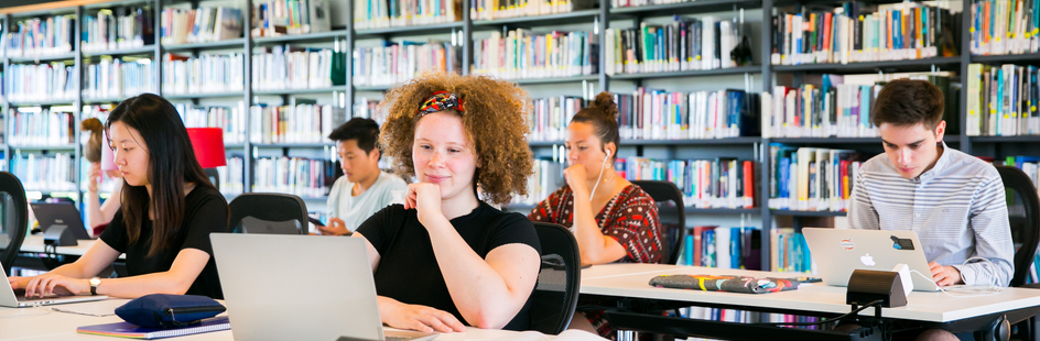 Studying at the library