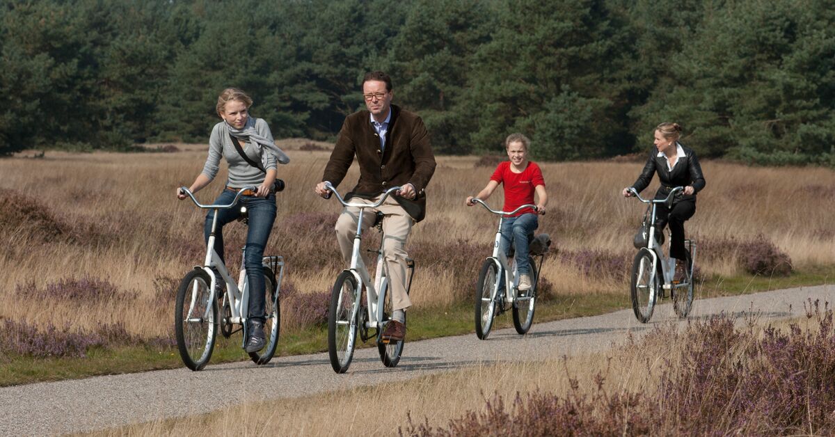 4-daags-fietsarrangement-Ronde-van-Gelderland-Linge-Hotel-in-Elst