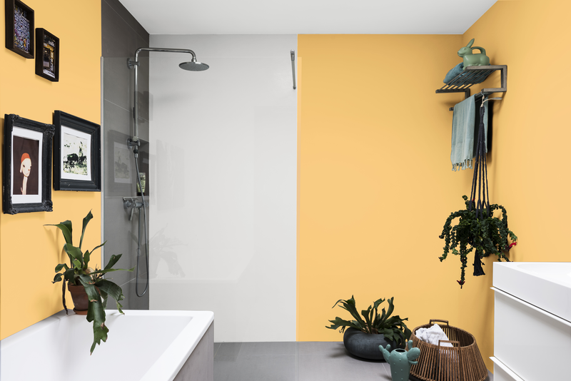 Dulux Paint Mixing Easycare Washable & Tough Matt Interior Dulux Dulux Paint Mixing Easycare Washable & Tough Matt Interior Dulux