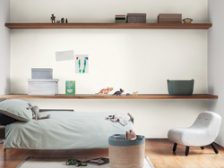 EXTREME WHITE 30GY 83/021 - Teal - ค้นหาผลิตภัณฑ์ในสีนี้ | Dulux